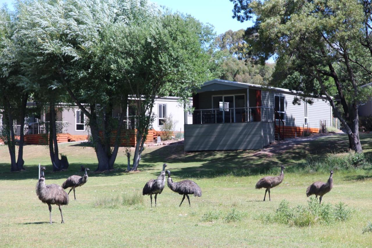 Lakeside Tourist Park Halls Gap
