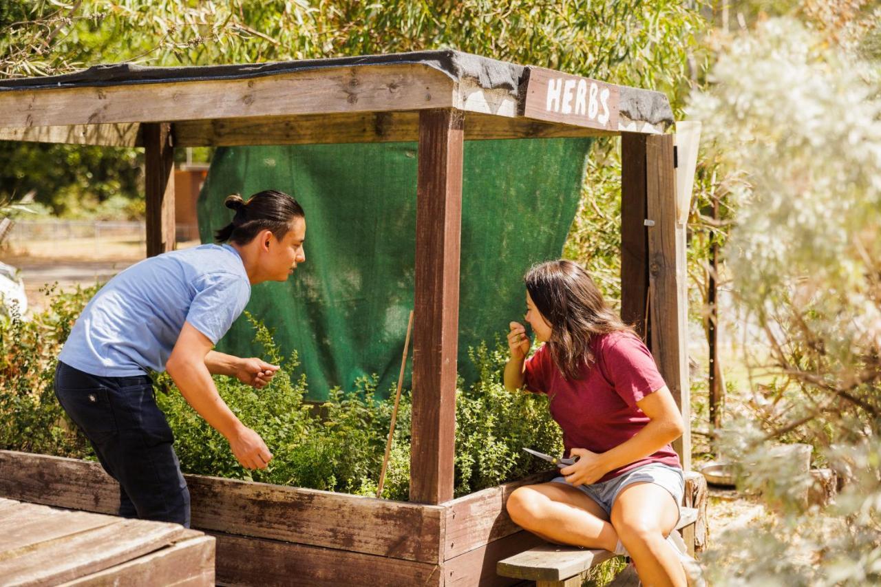 Hostel Yha Grampians Eco, Halls Gap