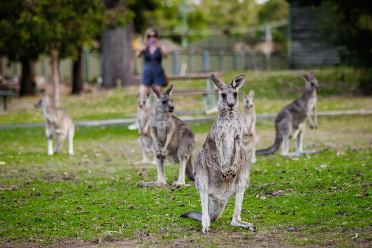 Hostel Yha Grampians Eco,