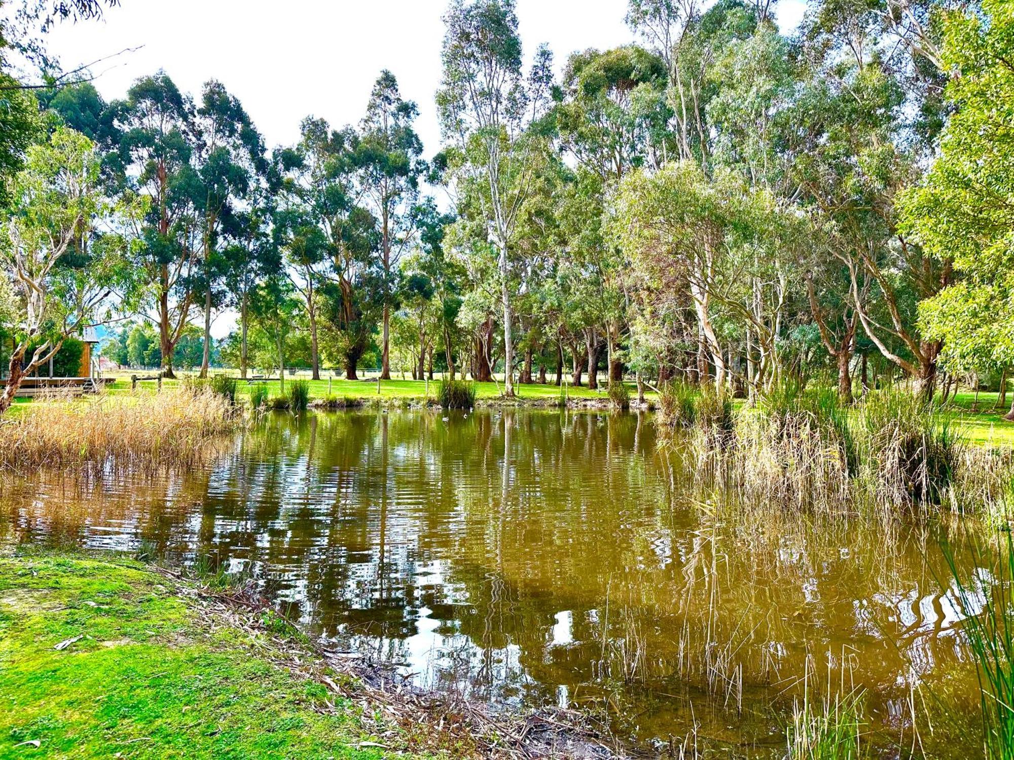 Grampians Halls Gap