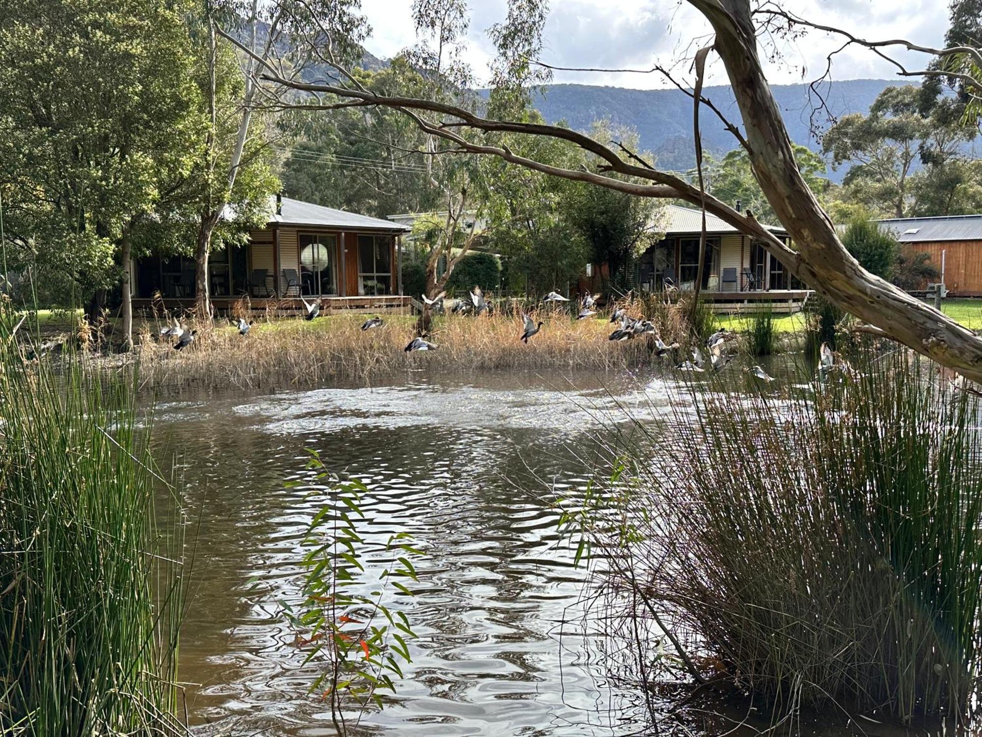 Grampians Lodge