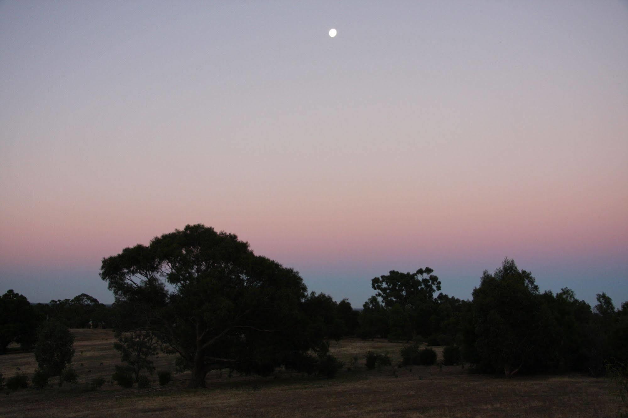 Lodge Boroka Downs *