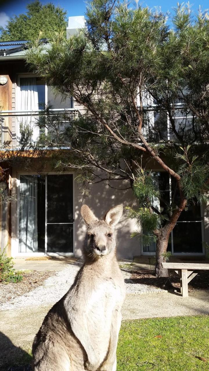 Yha Grampians Eco,