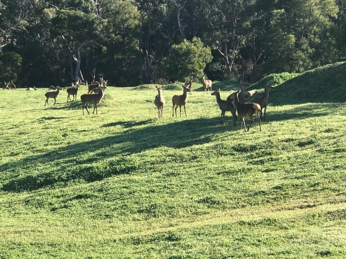 Ironstone Romantic Couples Retreat Halls Gap