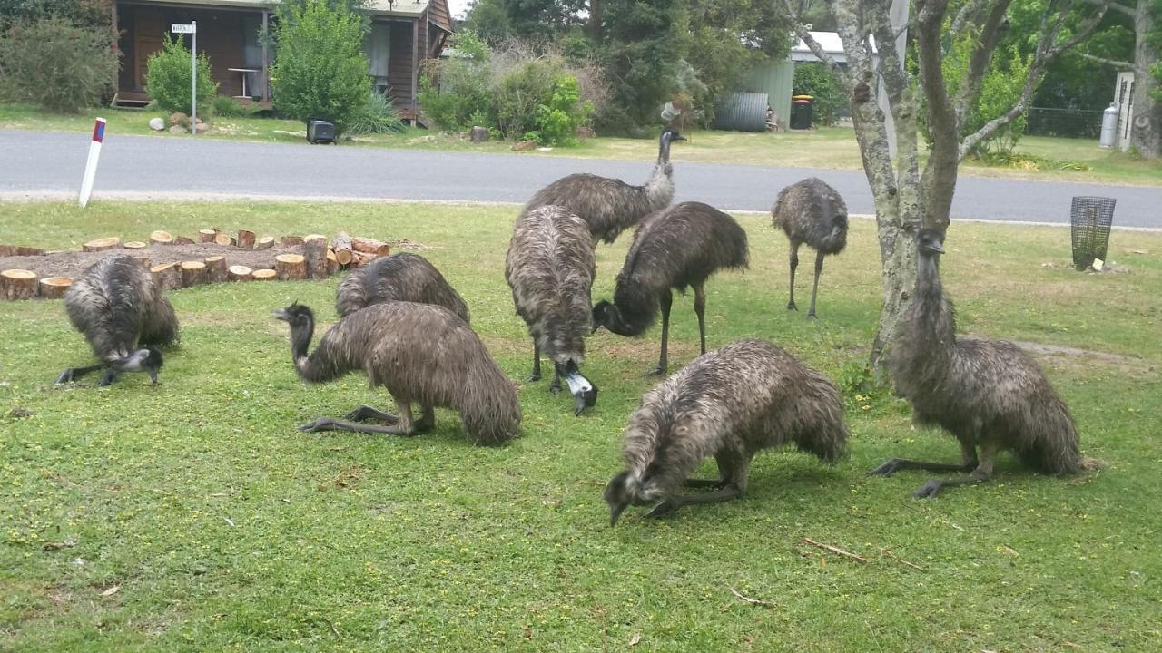 Yha Grampians Eco, Hostel Halls Gap