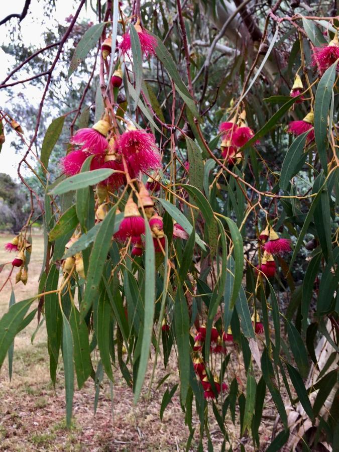 Holiday home Pomonal Cottages Grampians