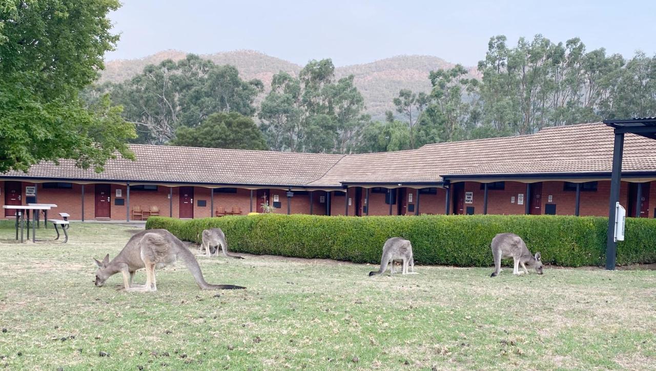 Country Plaza Motel Halls Gap