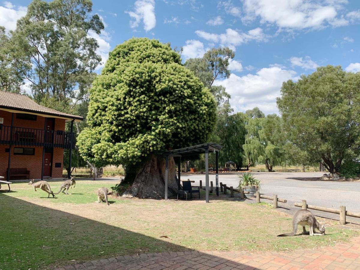 Country Plaza