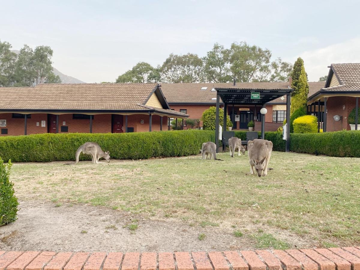 Country Plaza Halls Gap