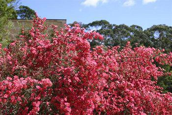 Hotel Marwood Halls Gap
