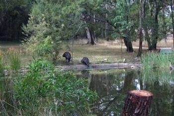 Marwood 5* Halls Gap